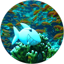 Jürgen Schütz profile picture